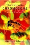 calcutta chromosome